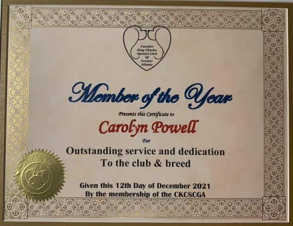 So proud to have received this from the Cavalier King Charles Spaniel Club of Greater Atlanta for the 2021 year!