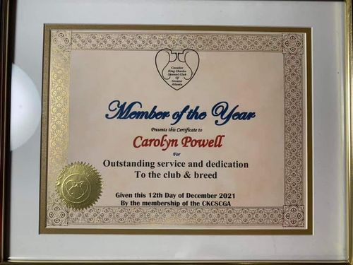 "So proud to have received this from the Cavalier King Charles Spaniel Club of Greater Atlanta for the 2021 year!" -Carolyn