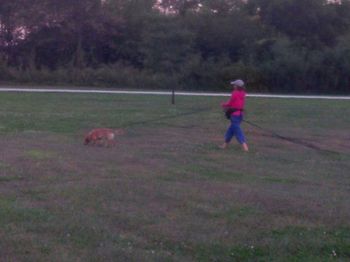 Quest is doing a great job tracking. He did his first 90 degree turn like a pro. Jerry Keys is being a great coach. Sept 13, 2015