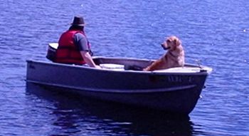 River fulfilling her duty as "Official Boat Dog" while fishing on Wakemup Bay- Lake Vermillion, Minnesota Top of Page