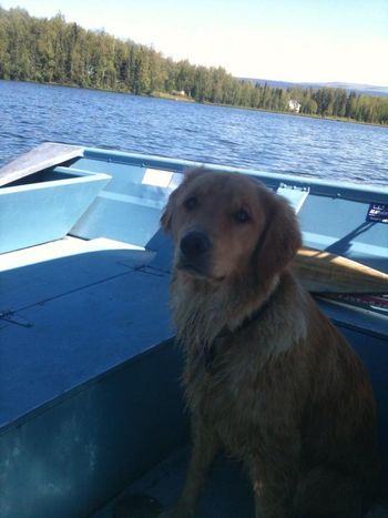 Maggie gets her first boat ride while dad takes the boat for a test run. I think Maggie is his favorite deckhand. June 28, 2014