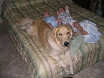 Gambler now has TWO little boys to play with, and he couldn't be happier about it! Top of Page