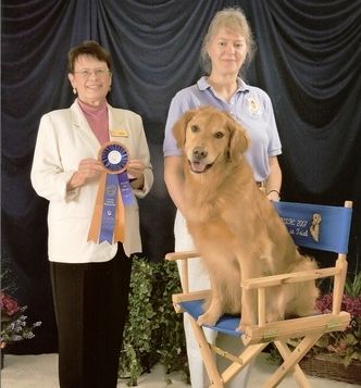 MACH Wakemup Dancin' Spellbound earned another High in Trial at the Kansas City Golden Retriever Club show in Lawrence, KS! A few short weeks later Janet and Bounder earned the third leg of his Utility title in Topeka, KS. Way to go Janet and Bounder!! Top of Page