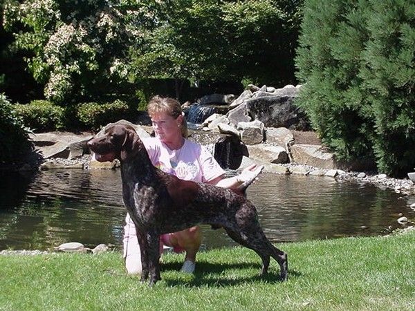 Ch. Snowcreeks Foster of Moruada, RN,JH,VC, CGC,aat