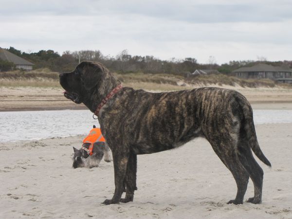 12 months old