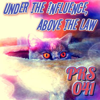 PRS_041: Under the Influence, Above the Law Patrick and Dennis are hiding out in a hotel room this week with comedian Adam Richmond. In this episode filled with intrigue, the group digs into the nitty-gritty of Adam's legal adventures. But then suddenly everyone gets busted, and they go into whisper mode. Bad politics, bad neighbors, and bad pussy all play a role in this week's show, so strap on your spy gear and push the play button! The Patrick Ryan Show is about to take you under the influence, and above the law!