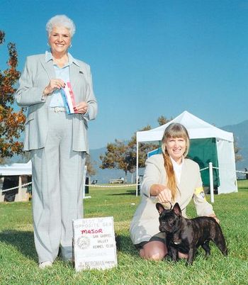 CH. MON PETIT CHOU MACY MON AMI "MACY" Sire: CH. Fabelhaft Majic Marc'r Dam: CH. Mon Petit Chou Pen and Ink DOB: 07/02/03