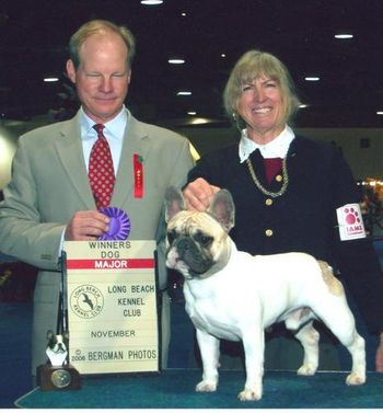 We were just over-whelmed when "Chevy" won a 5 pt major after winning Best in Sweeps. He was definately on his game that day. He is a very up-right dog that takes his job in the show ring very seriously. A beautiful mover that defines 2-tracking to perfection and loves to show himself off. I guess you could say he is an "egomaniac". LOL
