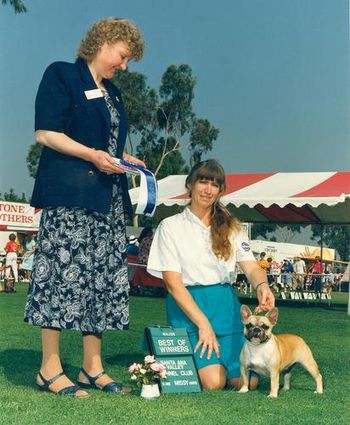 "NICOLE" Shown winning Best of Winners and a 5 point major at the Supported Entry following the 1992 FBDCA National under Judge Maureen Bootle-Blomquist from the famous Tommyville French Bulldogs Kennel in Sweden. Our little girl was on top of her game that day and we were beyond thrilled with this win.
