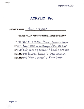 Acrylic_Pro Winners