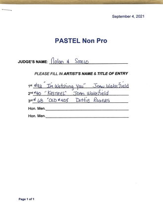 Pastel_Non Pro Winners