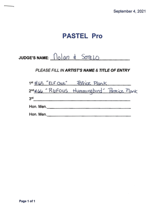 Pastel_Pro Winners