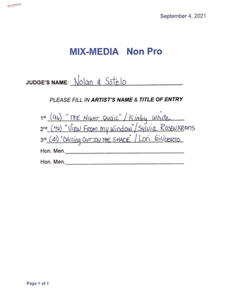 Mix-Media_Non Pro Winners
