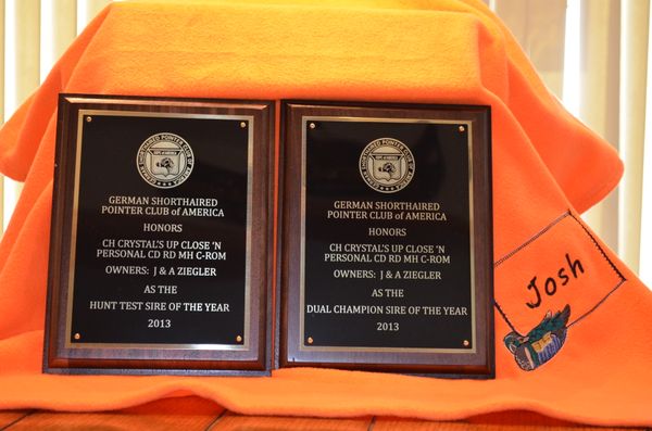 2013, 2014, 2017 Hunt test sire of the year!
2013 Dual champion sire of the year! (tied)
2014, 2015, 2016, 2021 Obedience Sire of the year!
2015, 2017 Agility Sire of The year!