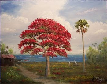 Royal Poinciana Tree- Dock 16 by 20" Oil on Board. Painted Nov. 11th, 2006 (SOLD - Collector in Port St. Lucie, FL)