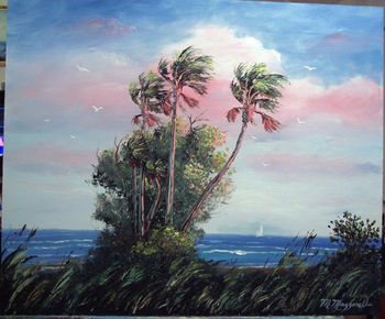 20 x 24" Cabbage Palms on the Beach. Palette Knife & brush. Oil on Board. Painted October 17th, 2006 (SOLD - Collector in Miami Shores, FL)