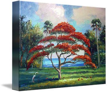 'Royal Poinciana' 16 by 20" Oil on board. Lots of knifework. Painted June 27th, 2007 (Not available - in Private Collection) Buy a Framed or Unframed Print Here!