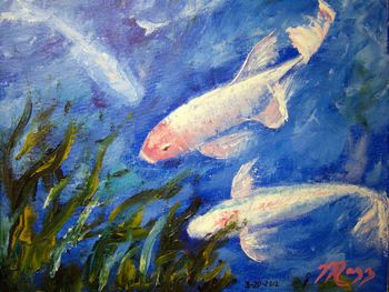 'Koi Fish Art ' 100% Palette knife Oil Painting on Stretched Canvas. 11 by 14" Painted March 20 th, 2012. Original is Available or Buy a Quality Framed Print Here!