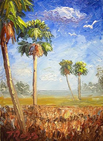 'Cabbage Palm Trees' 5 by 7" Oil on Canvas. Thick Paint Impasto - Palette knife painting. Painted Oct. 11th, 2009 ( Collector from Lake Wales, Florida)