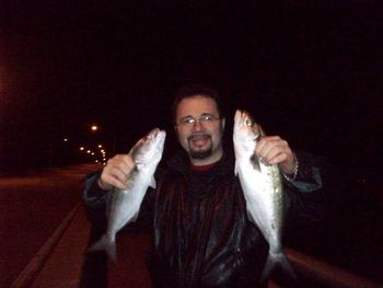 Ft. Pierce Dec 22nd 2010. Mazz catching Bluefish fromthe mainbridge in Ft Pierce which goes over the Indian River
