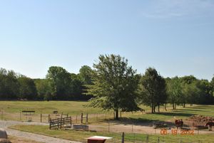 pastures at Hidden Acres