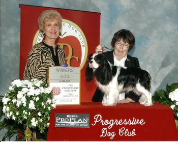 Mockingbird's Double Dutch. Reagan takes Winners Dog at the Progressive Toy Dog Club Show in New York City under the hand of Elaine Mitchell.