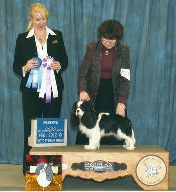 Mockingbird's Double Dutch is awarded Reserve Winners Dog at the CKCSC Of Greater Atlanta Specialty under breeder Judge Lorri Isenhath-Gordon.