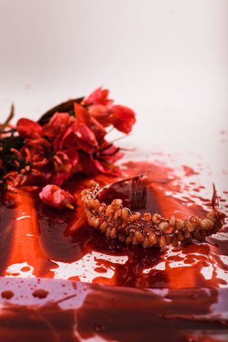 tiara crown; flowers; broken petals; blood; carrie; prom scene