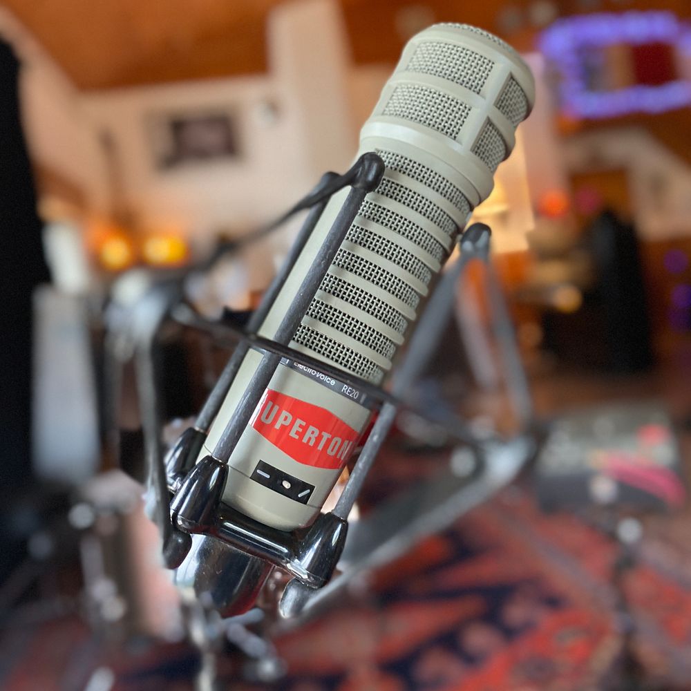 Electrovoice RE20