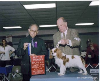 AKC Champion Inkahoots Pullin Out All Stops 5 point major this was his fourth Major and finished him.Thanks to Bob and Georgianna Covey for thier excellent job of handling "Grabbs"