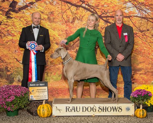 Award of Merit - 2021 WCA Nationals