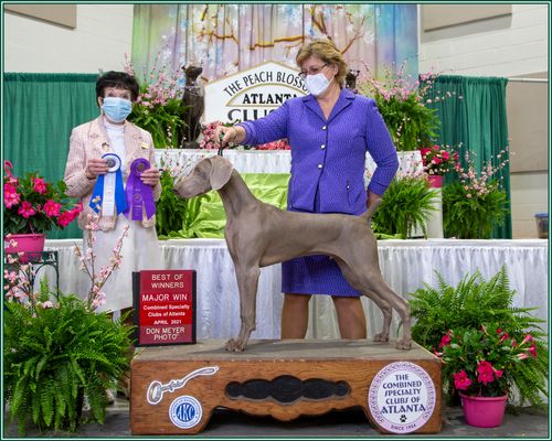Specialty Major Win - 6 Months Old