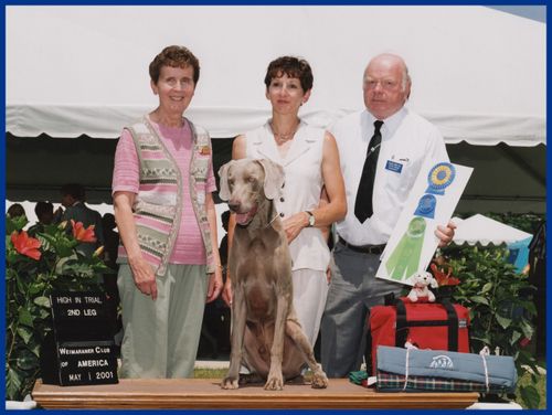 WCA Nationals High-In-Trial