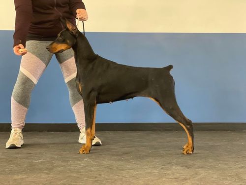 Picture at 13 months