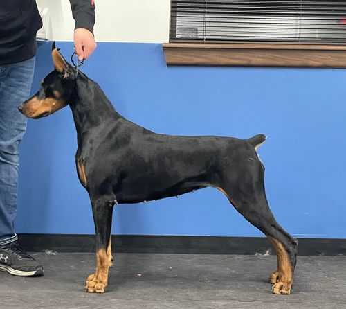 Pictured at 21 months