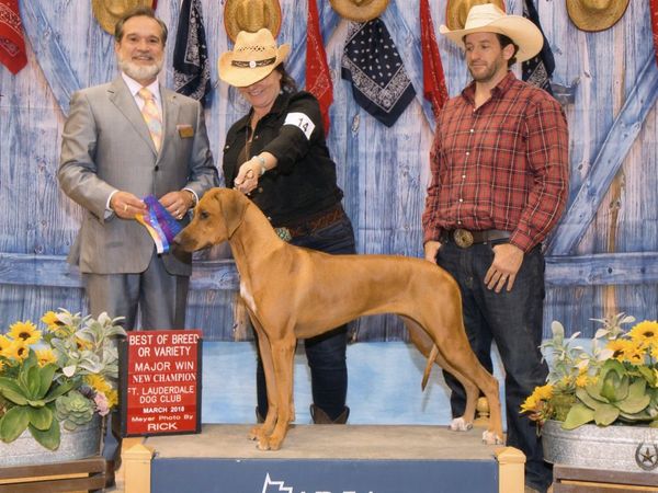 CH TuckerRidge Worth Every Penny JC "Penny" We Our proud to announce our 4th Champion First one out of Bred By exhibitor Classes Getting 4 Majors and two Best of Breed Wins at the tender age of 13 months old. In 2018