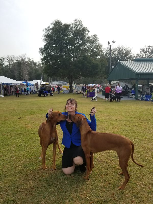 Ember and Roland January 2020 Ocala Show