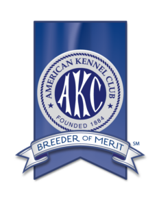 Became AKC Breeder of Merit 2021