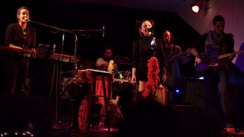 Kimberly & the Dreamtime Heart Wave Launch Montreal, Casa del Popolo, Nov 9, 2016, Photo by Matt Eastwood