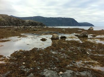 Early evening stroll in Rocky Harbour. The tide had gone out, so the beach was a great place for exploring.