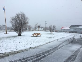 Happy May 24 Weekend from Rocky Harbour! Thankfully, we have guitars, espresso & hot chocolate in our cozy cabin.