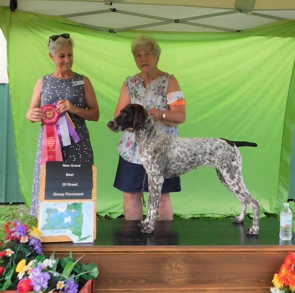 Grand Champion and group 2