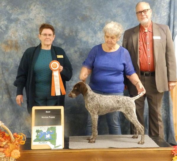 UKC show 4.5 months Best Jr Puppy
