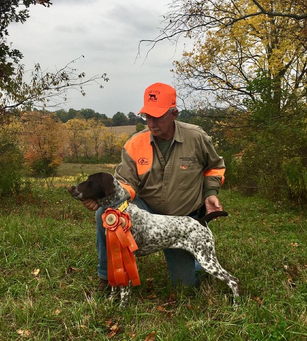 2 more legs at the hunt test. 1 more for the Junior Title