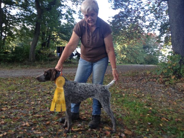 Third place in Open Derby
Pointer Associates of New England