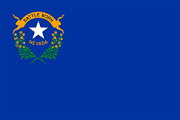 Image result for Nevada flag
