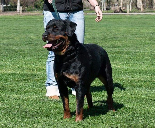 Essi von Brennan 3 years old