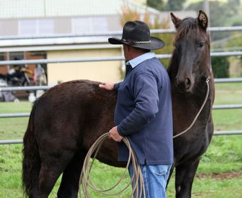 2009 - MCM Marquis Black Moriesian gelding by Eitsje. (Friesian). sold