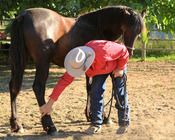 2010 - MCM Mystique Black Moriesian filly by Eitsje.