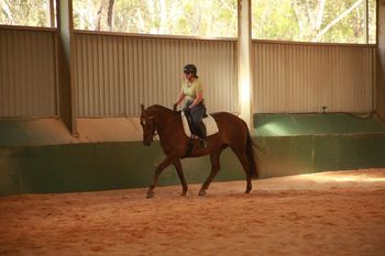 MCM Xarika (2010) Chestnut Moriesian filly out of The Carrock Xyona. more........